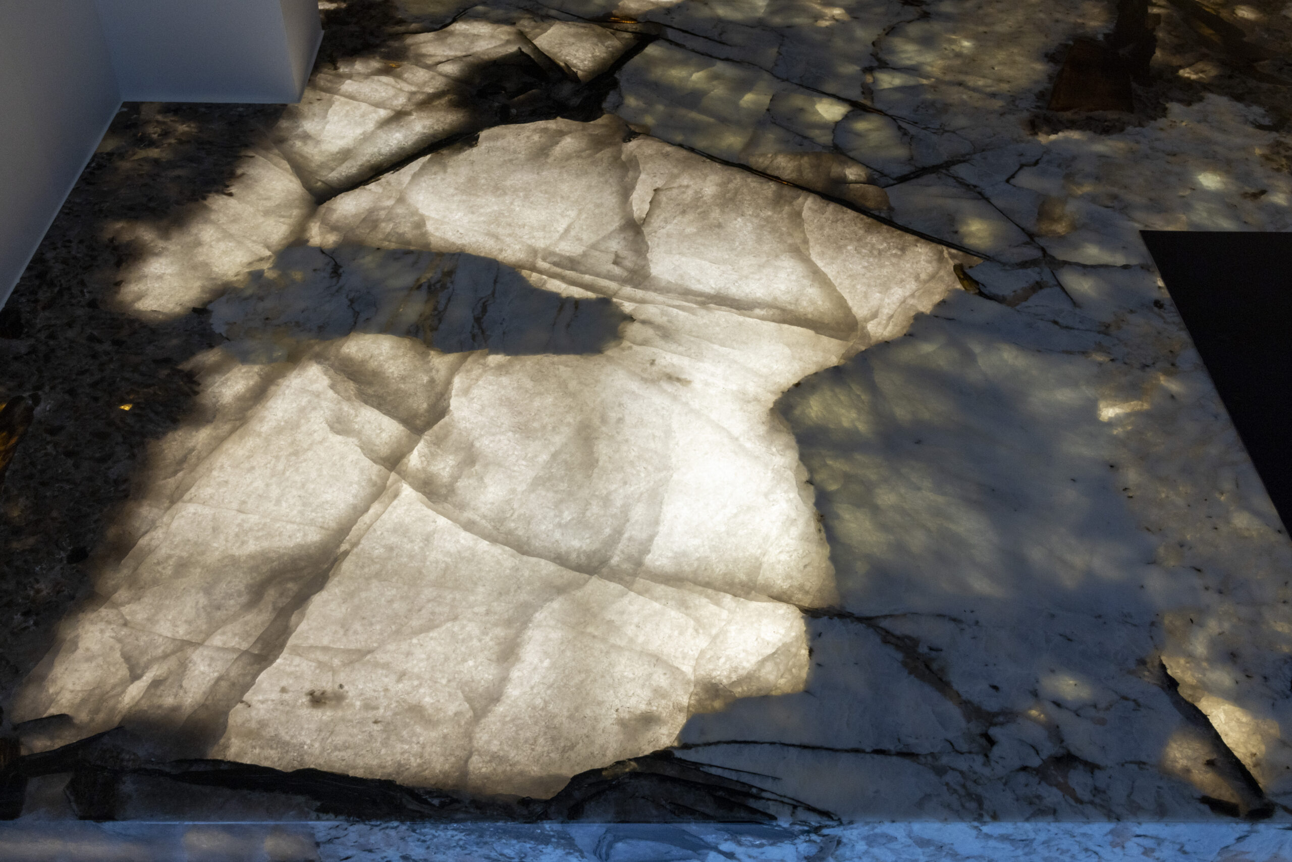 Plan de cuisine en Patagonia Noire