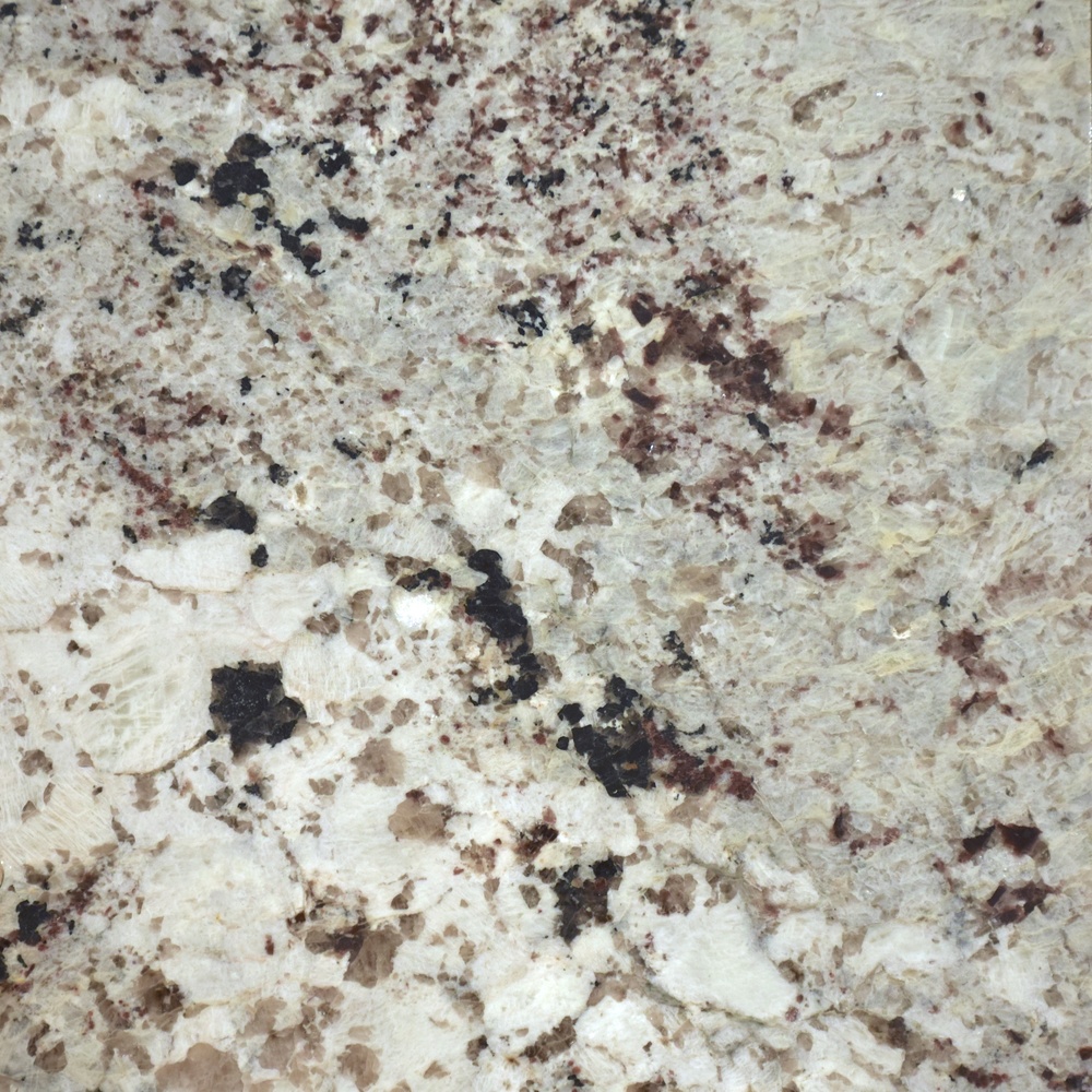 Alaska white