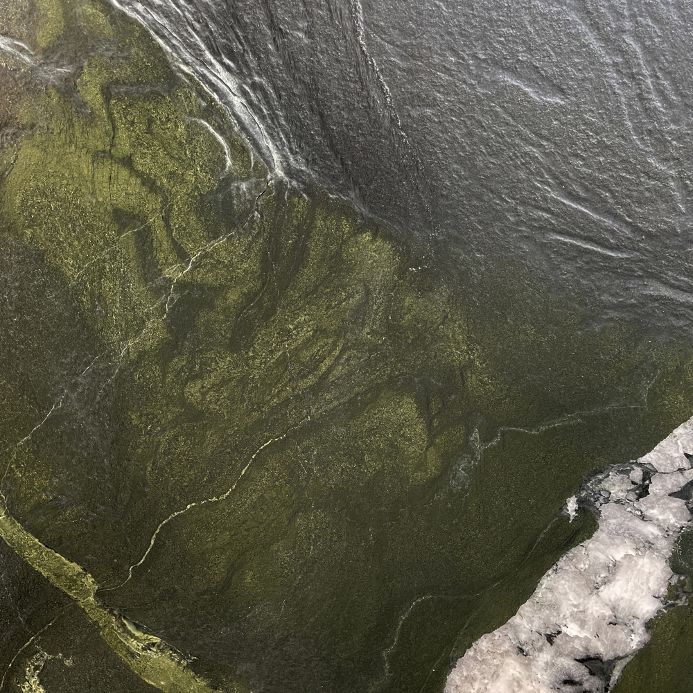 Quartzite Naturelle Avocatus