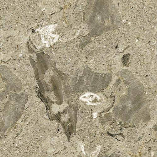 Aurisina fiorita
