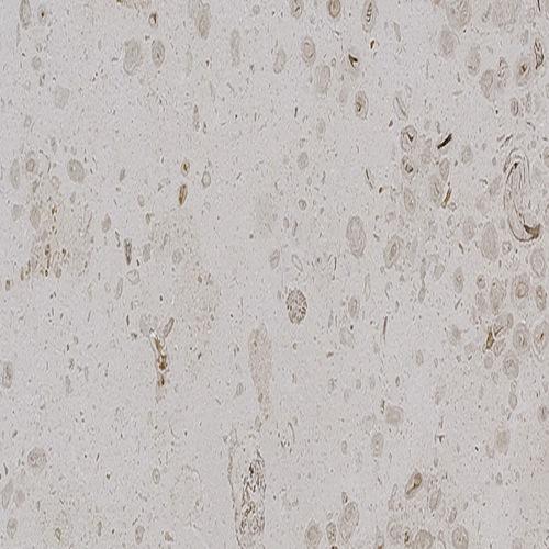 Beige perola