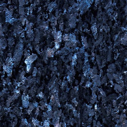 Labrador bleu