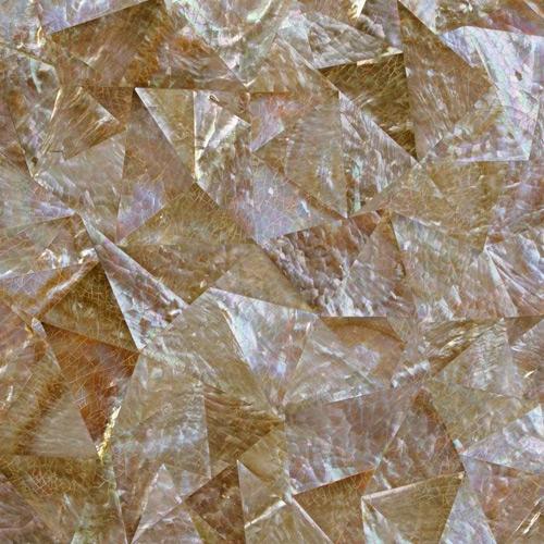 Mya1-1034