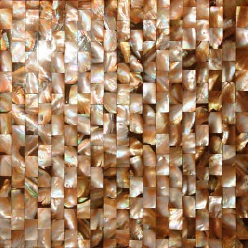Mylp-r02