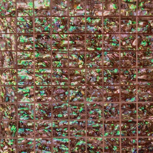 Mylp-r08