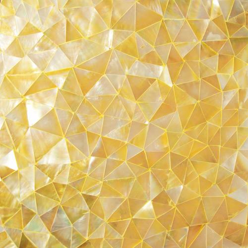 Mylp-t02