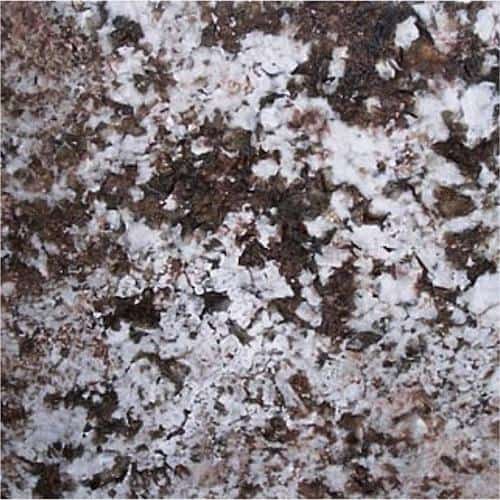 White pergamino