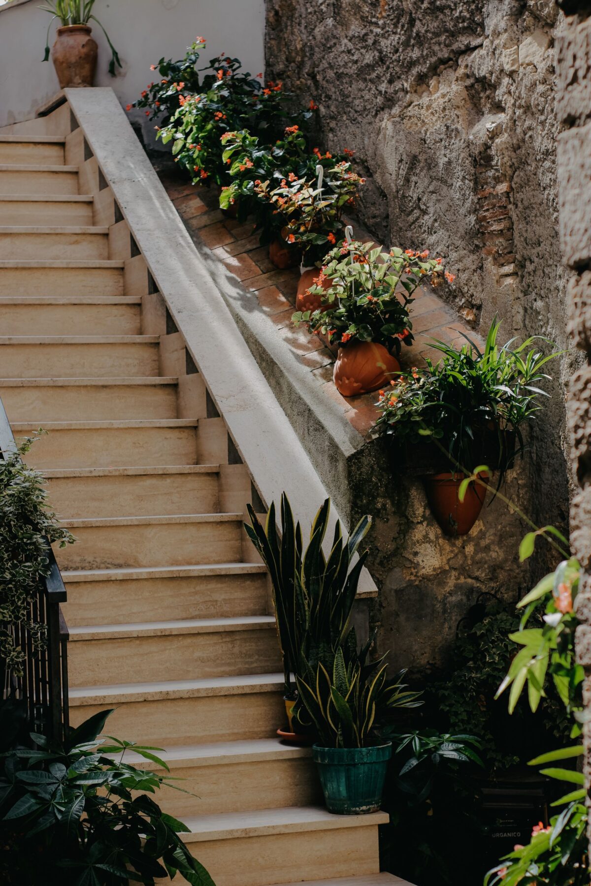 Escalier extérieur en pierre beige entre deux murs anciens, avec des plantes en pot