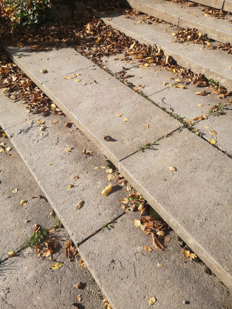 Marches en pierre claire recouvertes de feuilles mortes en automne