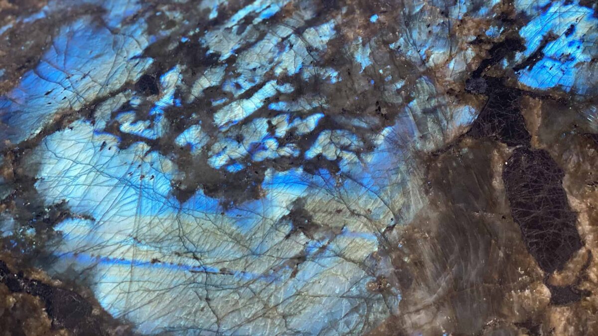 Labradorite polie aux reflets bleu électrique sur fond brun