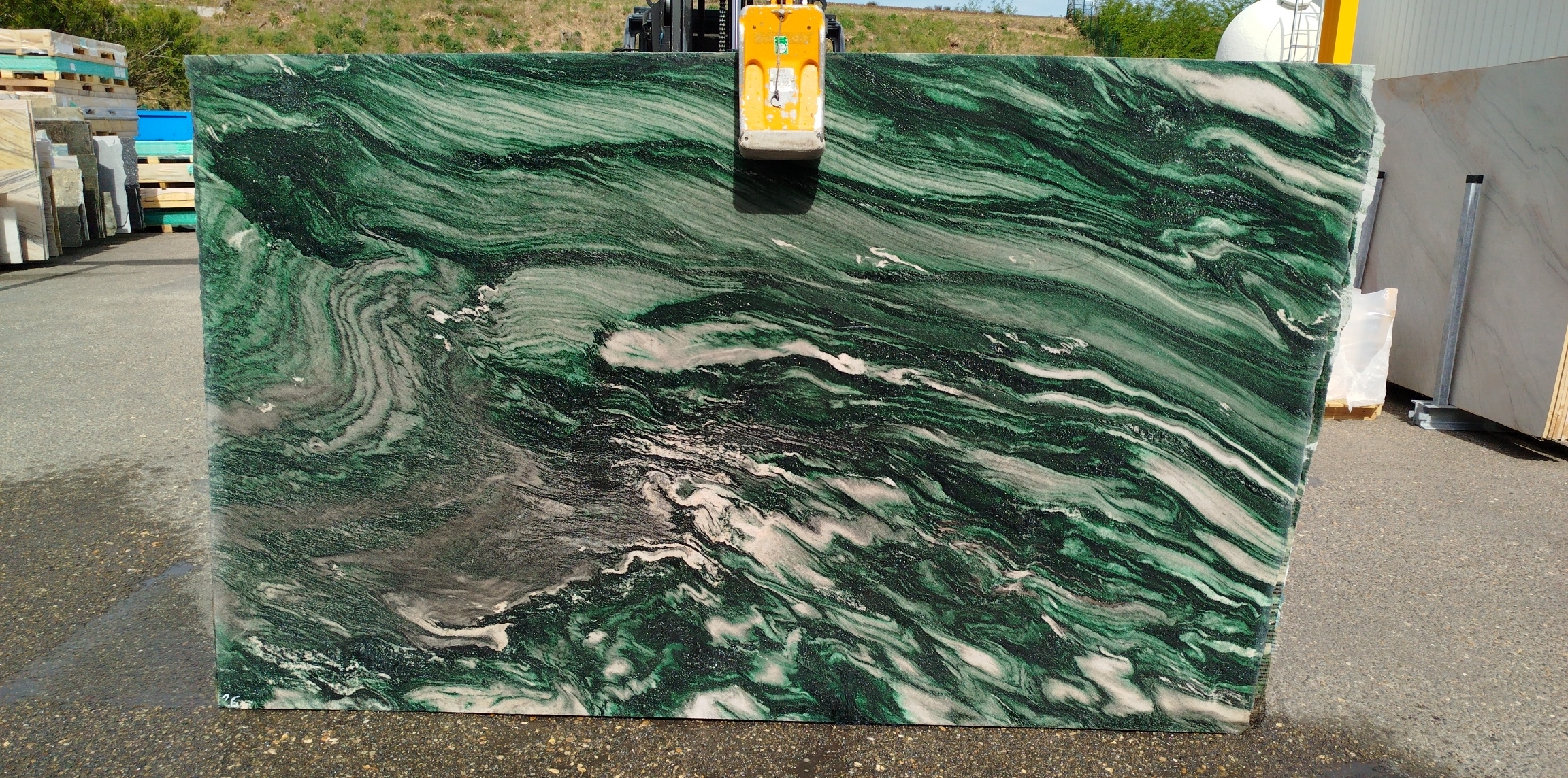 LAPPONIA GREEN