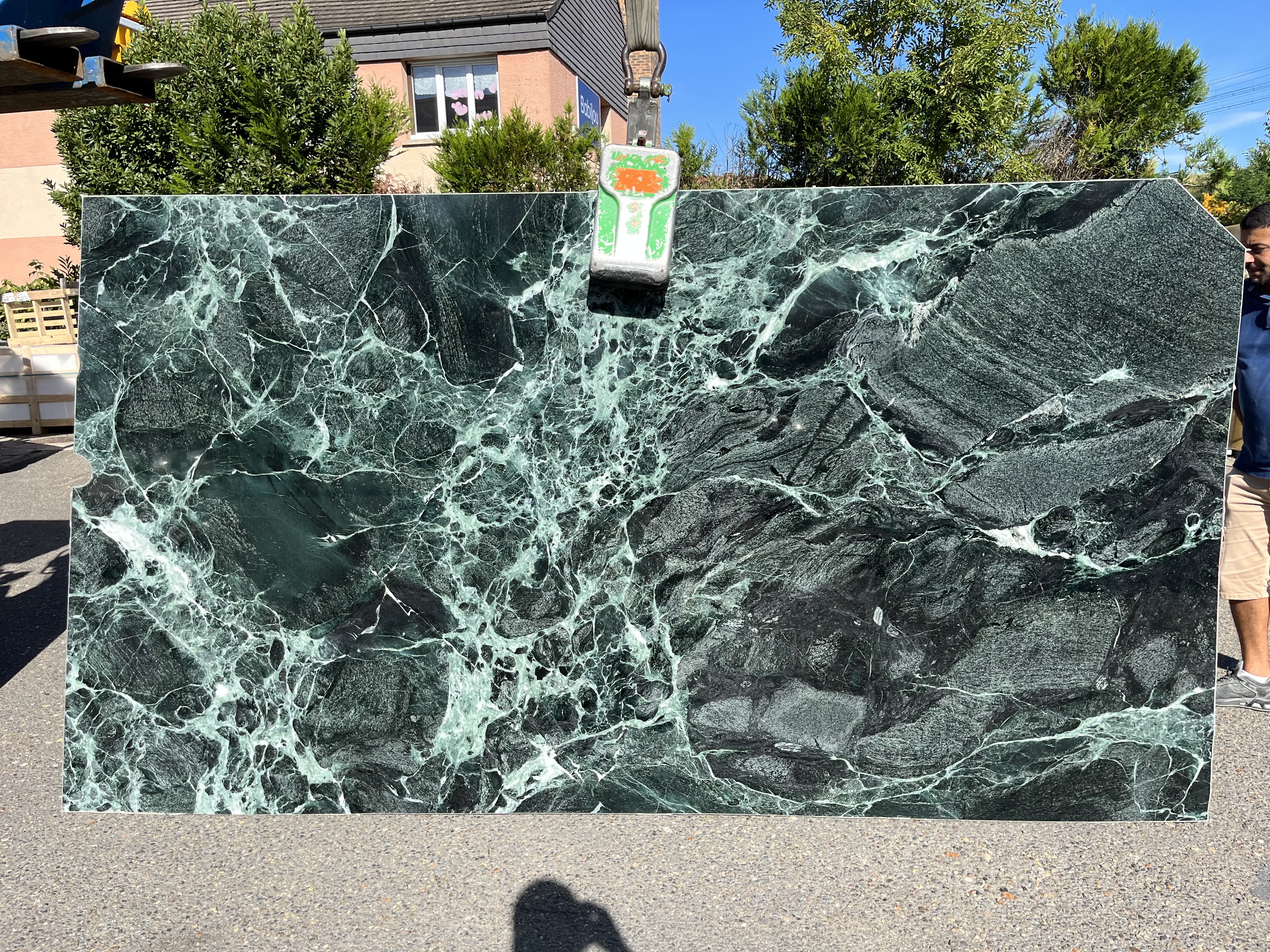 VERT DES ALPES (Patricia)