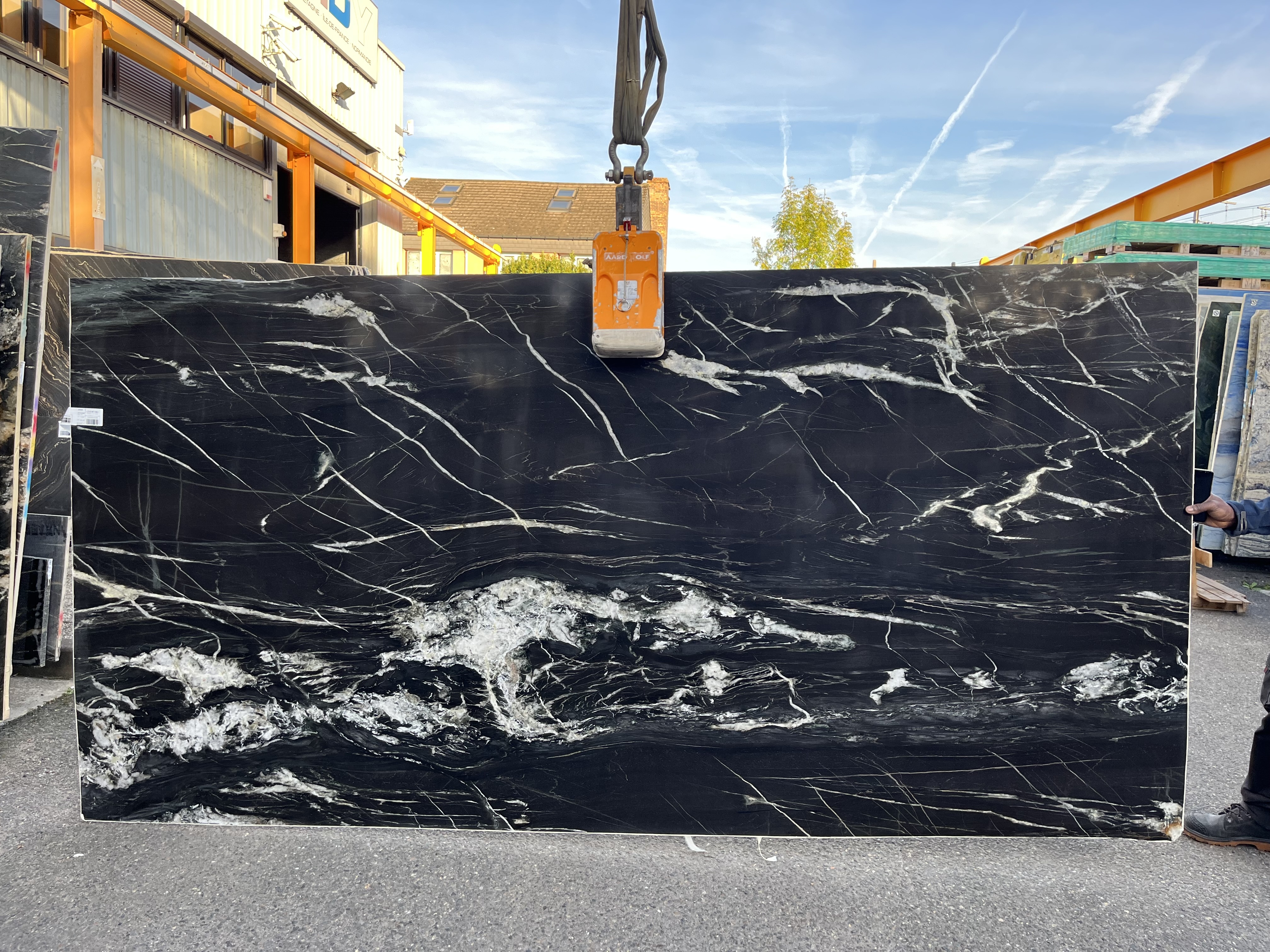 BELVEDERE livre ouvert